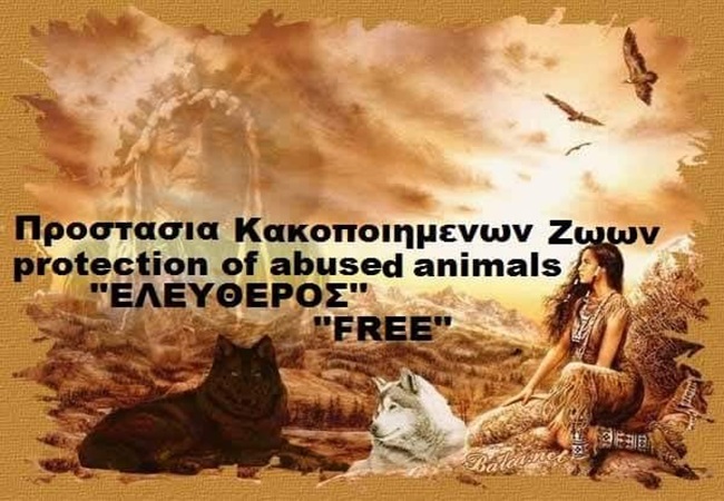 Έκκληση από τον Σύλλογο Προστασίας Κακοποιημένων Ζώων Λάρισας&nbsp;«Ελεύθερος»