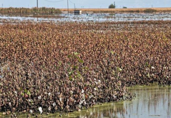 Η Αθήνα καλείται να αφουγκραστεί τη φωνή της Θεσσαλίας για τη μετά Daniel&nbsp;εποχή