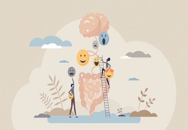 Έντερο: Πώς συνδέεται με την ψυχική&nbsp;ανθεκτικότητα;