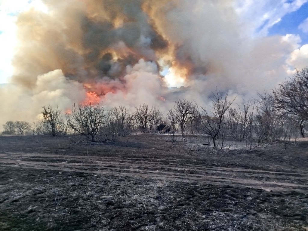 ΜΕΤΑ ΑΠΟ ΓΕΝΝΑΙΑ ΠΡΟΣΠΑΘΕΙΑ ΤΩΝ ΠΥΡΟΣΒΕΣΤΩΝ ΚΑΙ ΕΘΕΛΟΝΤΩΝ ΕΣΒΗΣΕ Η ΠΥΡΚΑΓΙΑ ΣΤΟ ΒΑΘΥΡΕΜΑ&nbsp;ΑΓΙΑΣ!