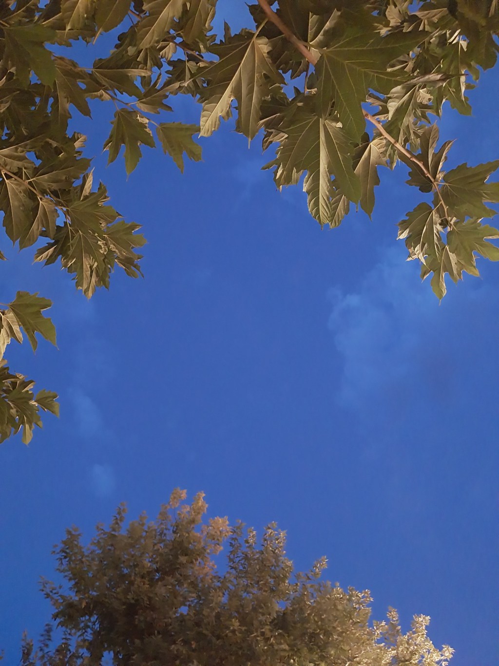 Ανεξέλεγκτο το φαινόμενο αιφνιδίων και αναίτιων θανάτων νέων&nbsp;ανθρώπων!!